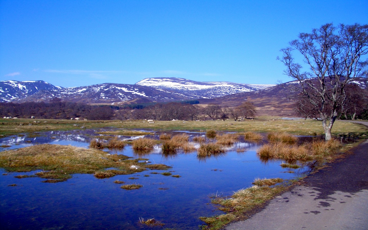View from Newtonmore Glen View from Newtonmore Glen