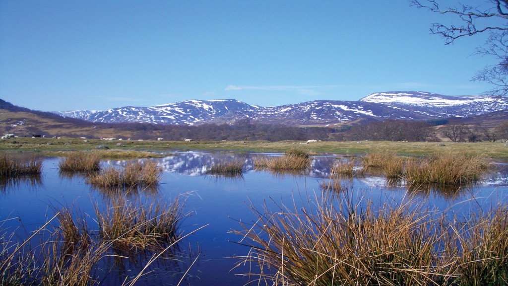 Local area image